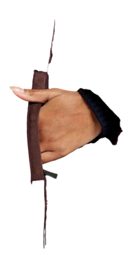 366034_7-_no-bg