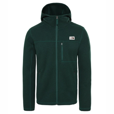 Fleece The North Face Men Gordon Lyons Hoody Night Green Heather