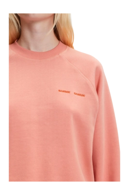 5---GITTA_CREW_NECK_10902_-_CORAL_HAZE_-_M3-_no-bg