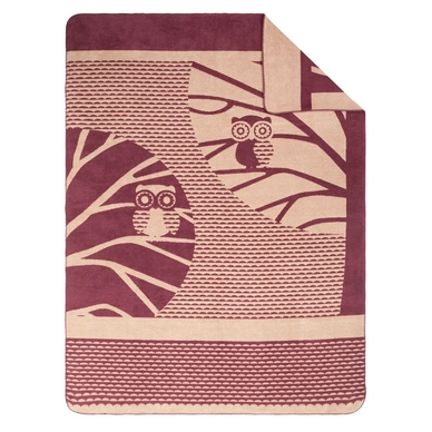 Jacquard Decke Ibena Sorrento Eule