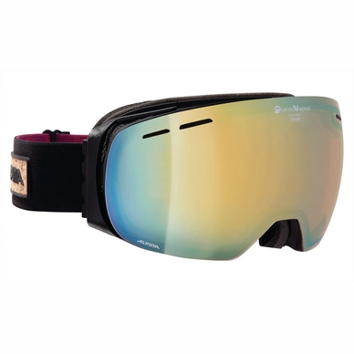 Ski Goggles Alpina Granby QVMM Black Matte 2017