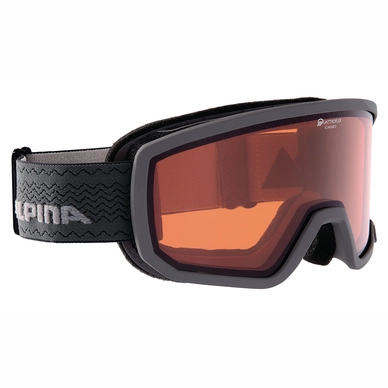Ski Goggles Alpina Scarabeo QH Anthracite