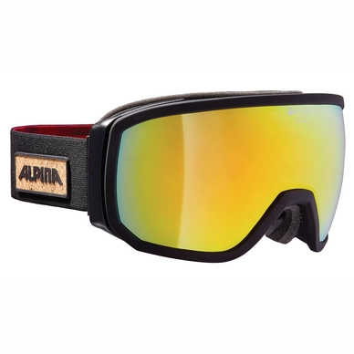 Masque de Ski Alpina Scarabeo QMM Black Matt