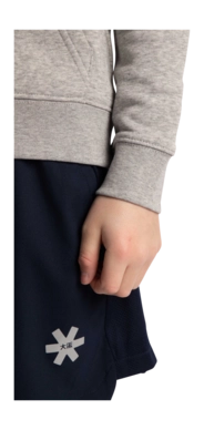 Hoodie-blue-star-grey-deshi-boy-sleeve-_no-bg