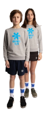 2---Sweater-blue-star-grey-deshi-full-_no-bg