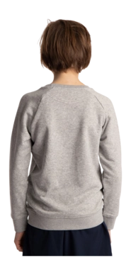 5---Sweater-blue-star-grey-deshi-boy-back-_no-bg