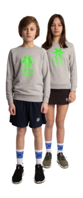 2---Sweater-green-star-grey-deshi-full-_no-bg