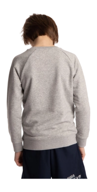 5---Sweater-green-star-grey-deshi-boy-back-2-_no-bg