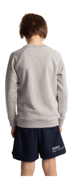 6---Sweater-pink-star-grey-deshi-boy-back-2-_no-bg