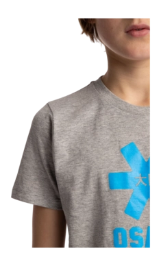 9---Tee-blue-star-grey-deshi-boy-detail-_no-bg