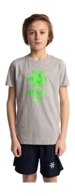 3---Tee-green-star-grey-deshi-boy-front-_no-bg