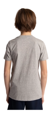 5---Tee-green-star-grey-deshi-boy-back-_no-bg