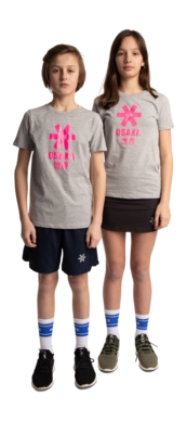 2---Tee-pink-star-grey-deshi-full-_no-bg