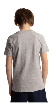 5---Tee-pink-star-grey-deshi-boy-back-_no-bg