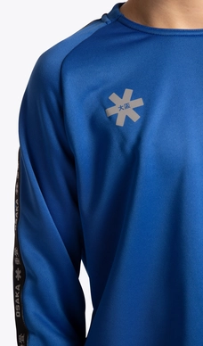 8---training-sweater-royal-blue-deshi-star