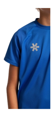 6---10573-DeshiTrainingTee-RoyalBlue-4-_no-bg