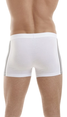 8---Trunk assorted grey set 3 stripe 3