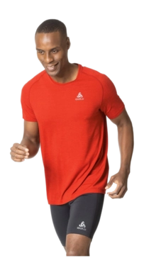 5---596508-_no-bg