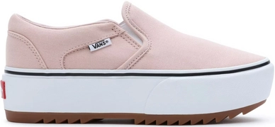 Vans Women Asher Platform ST Canvas Dusty Rose