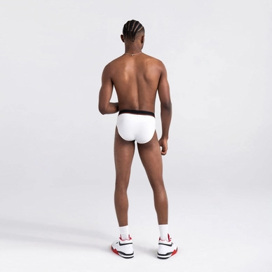 sxbr46-whi_2body_b_fa22