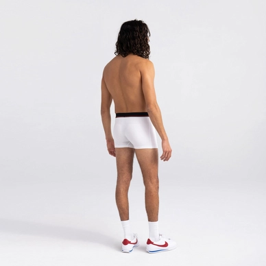 3---sxtr46-whi_2body_b_fa22