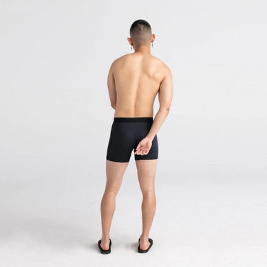 sxbb70f-bl2_2body_b_sp22