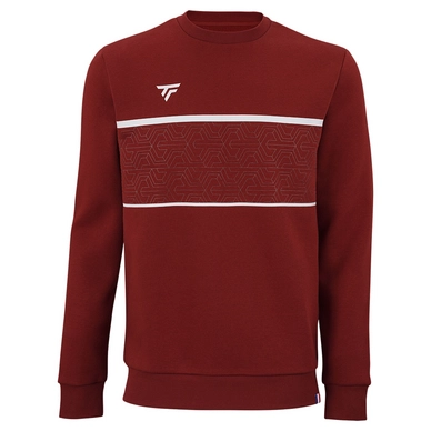 Tennistrui Tecnifibre Men Team Cardinal