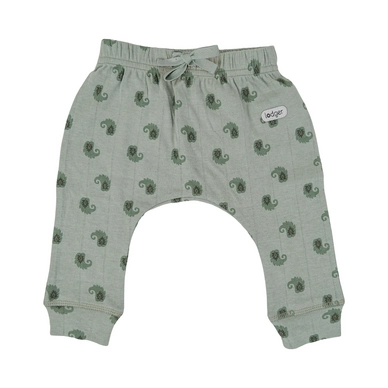 Babyhose Lodger Jogger Tribe Silt Green