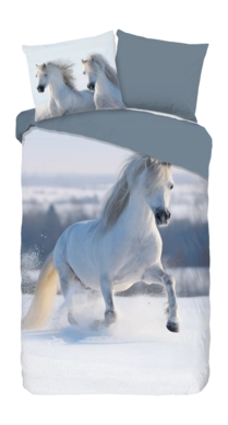2---10022.03.01-_no-bg