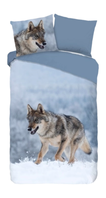 2---10024.03.01-_no-bg-_no-bg