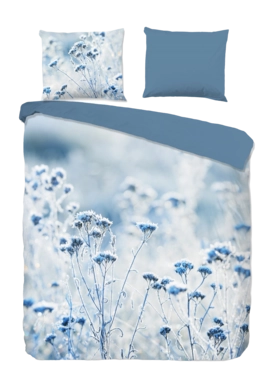 2---10026.20.02-_no-bg