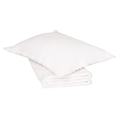 4---Patara_white3
