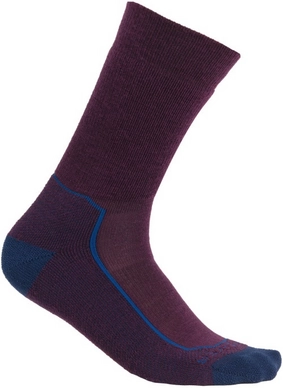 Chaussettes Icebreaker Homme Hike+ Medium Crew Nightshade Lazur Royalnav