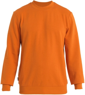 Trui Icebreaker Men Central II LS Sweatshirt Earth