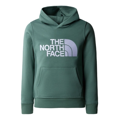 Dark green north face hoodie discount