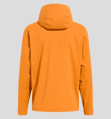 2---528672_50082_Torso_Back