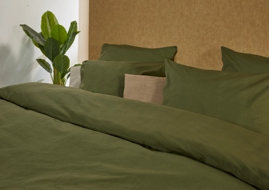 2---Plain Green 2 3