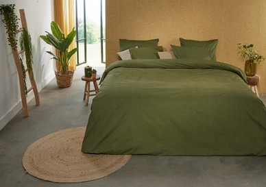 3---Plain Green 2 1
