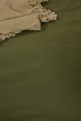 4---Plain Green 1