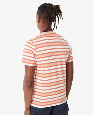 2---MTS1169OR36_AW23_back_2
