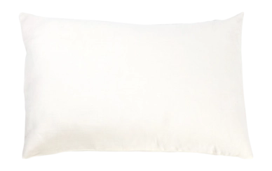 santiago_oyster_2017-slopen50x75_front_10-_no-bg