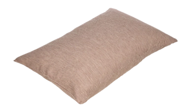 2---swimmers_stripe-jan_2023-pillow_50x75-02_1_1-_no-bg