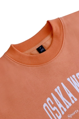 6---13580-Women Sweater-Peach-3