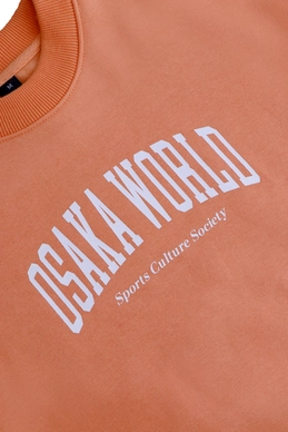 8---13580-Women Sweater-Peach-5