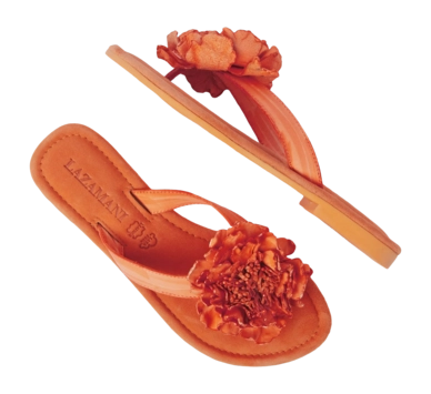 Oranje 3-_no-bg