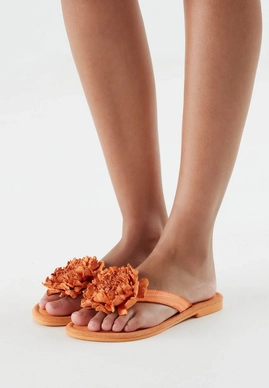 Oranje 4