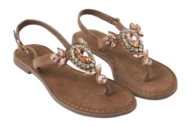 Taupe 2-_no-bg