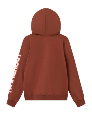 10275605-2424 - Ash sleeve print hoodie - 4025 Autumn red - Extra 1-_no-bg