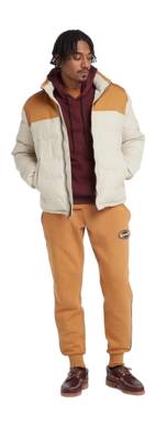 4---timberland-dwr-welch-mountain-pufferjack (3)-_no-bg