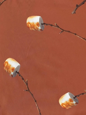 2---A4_sample_marshmallows-WEBvcr5D6d3fHQZK